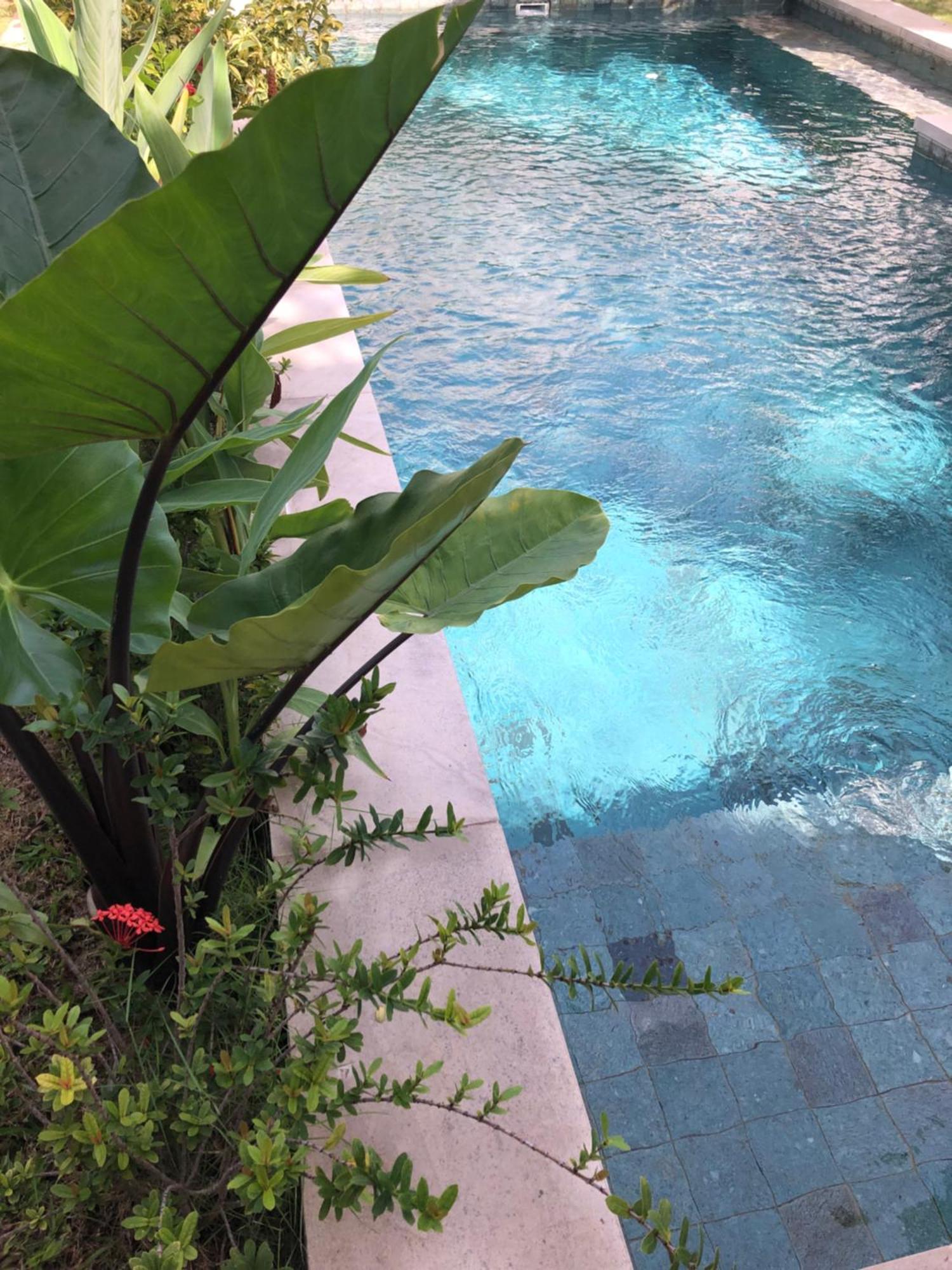 Villa Abhista Seminyak Экстерьер фото